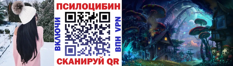 купить Покачи Псилоцибиновые грибы MAGIC MUSHROOMS