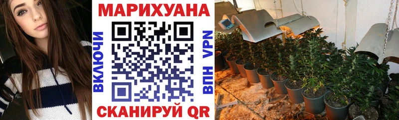 Канабис ГИДРОПОН  продажа наркотиков  Покачи 